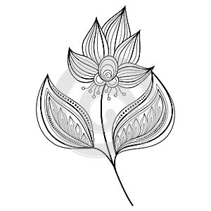 Vector Beautiful Monochrome Contour Flower