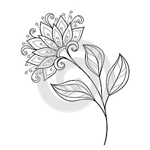 Vector Beautiful Monochrome Contour Flower