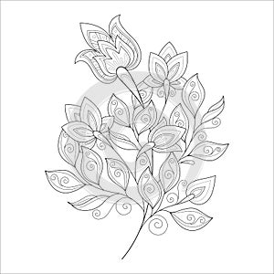 Vector Beautiful Monochrome Contour Flower