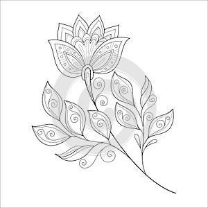 Vector Beautiful Monochrome Contour Flower