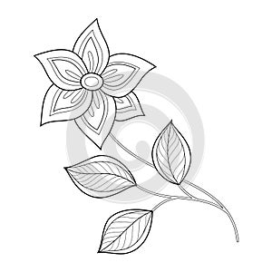 Vector Beautiful Monochrome Contour Flower