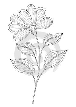 Vector Beautiful Monochrome Contour Flower