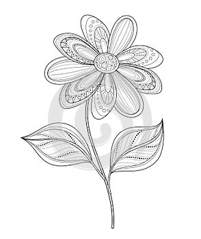 Vector Beautiful Monochrome Contour Flower