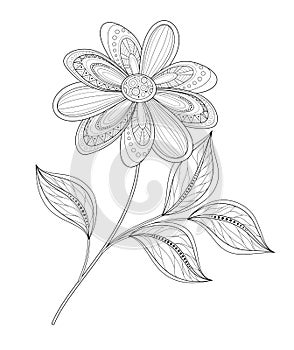 Vector Beautiful Monochrome Contour Flower