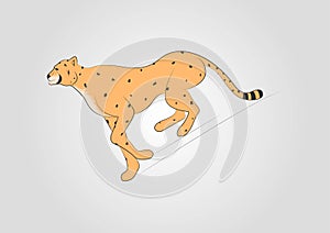 Vector beautiful running cheetah big wild cat isolated on white background side view zoo illustration fastest mammal animal