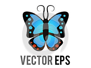 Vector beautiful winged insect butterfly icon with blue and black morpho wings outspread