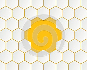 vector bee honeycells
