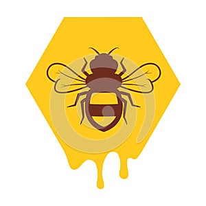 Vector bee and honeycomb icon