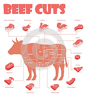 Vector beef cuts chart