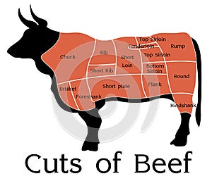 Vector Beef Cuts Chart