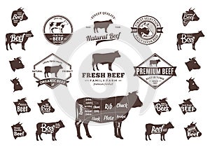 Vector Beef Logo, Icons, Charts and Design Elements