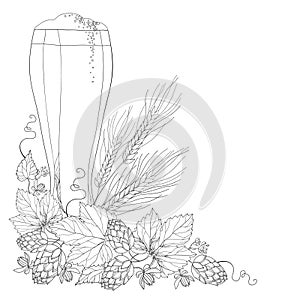Vector beer glass with ornate Hops or Humulus and wheat ears in black on white. Outline element for Oktoberfest.