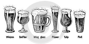 Vector beer glass types, vintage engraving. Foamy beer in different glasses: weizen, pilsner, tulip, snifter, pint, mug.