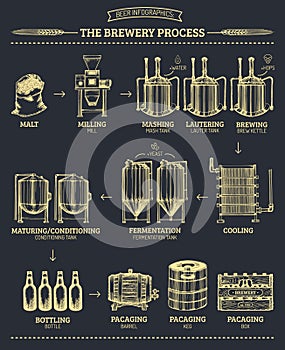 Vector beer infographics with illustrations of brewery process. Ale producing design. Lager production sketched scheme.