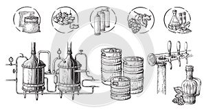 Infografias ilustraciones de cervecería ensayo 