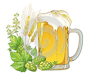 Vector beer mug with outline Hops or Humulus and ornate wheat ears on white background. Glass with lager beer.