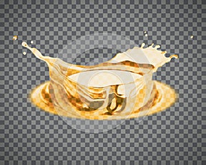 Vector beer splash isolated on light background