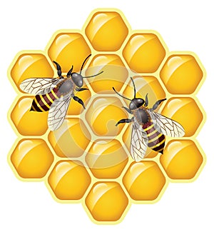 vector bees on honeycells