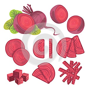 Vector beets isolated on background. Red beetroot whole, cut, slice. Set of fresh beets in different forms.
