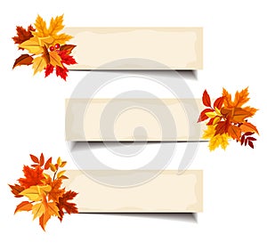 Vector beige banners with colorful autumn leaves.