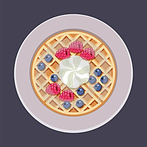 Vector belgian waffles on plate