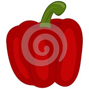 Vector bell pepper vegetable on white background