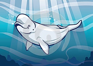 Beluga Whale in the ocean