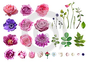 Vector Big Selection of Various Flowers Leaves including Rose, D