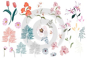 Vector Big Set botanic elements - wildflowers, herbs, leaf. collection garden and wild foliage, flowers,