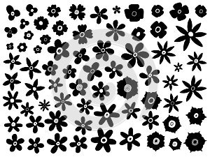 Vector big set of silhouette flowers