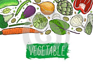 Vector big set of vegetables in a realistic sketch style. Healthy food, natural product, vegetable farm, vegan food, sports nutrit