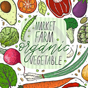 Vector big set of vegetables in a realistic sketch style. Healthy food, natural product, vegetable farm, vegan food, sports nutrit