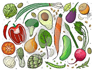 Vector big set of vegetables in a realistic sketch style. Healthy food, natural product, vegetable farm, vegan food, sports nutrit