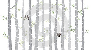 Vector Birch or Aspen Trees with Autumn Leaves and Love Birds