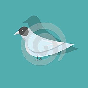 Vector bird isolated on a blue background.