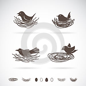 Vector of Bird and Nests.