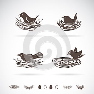 Vector of Bird and Nests. photo
