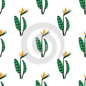 Vector bird of the paradise flowers seamless pattern.