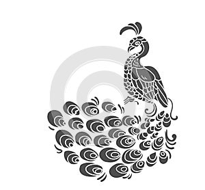 Vector bird peacock pattern peacock isolated clip art