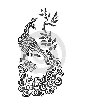 Vector bird peacock pattern peacock isolated clip art