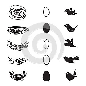 Vector of bird`s nest and eggs and birds.