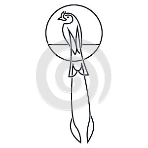 Vector of bird on white background