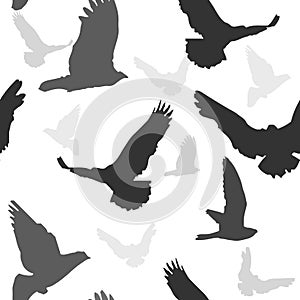 Vector birds background seamless pattern