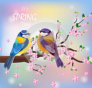 Vector birds couple on a Blossom cherry flowers branch. Spring background illustrations