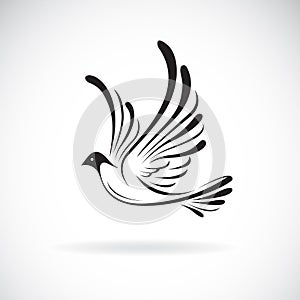 Vector of birdsDove design on a white background,. Wild Animals. Bird logo or icon. Easy editable layered vector illustration