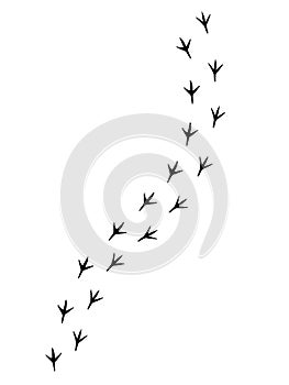 Vector black bird paw steps road on white background