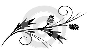 Vector black branch for design