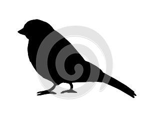 Vector black bullfinch sparrow bird silhouette