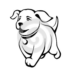 Vector black contour drawing of a cute puppy.