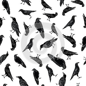 Vector Black Crows Ravens Birds on White Background Seamless Repeat Pattern